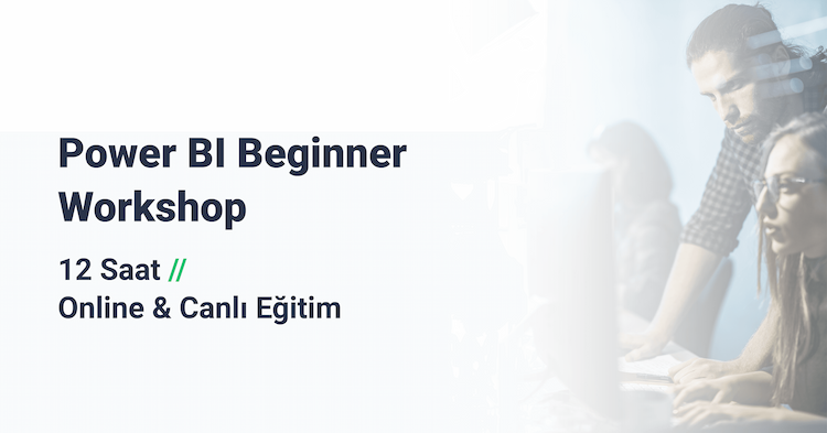 Power BI Beginner Workshop 